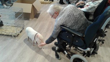 Week van Zorg en Welzijn 2019 in Spectrum