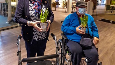 Bloembollen in Spectrum