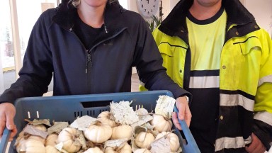 Hanse Hof brengt attentie naar Spectrum