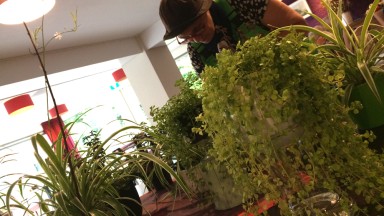 Uitslag Floralia De Wenning