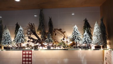 Kerst in en rond De Wenning