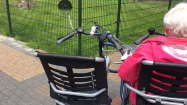 Lekker fietsen in de omgeving van Zuidlaren