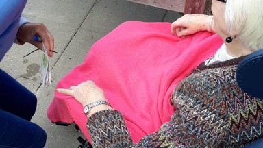 Start van de moestuin in Mozaiek