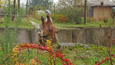 Een dagje naar Wildlands!