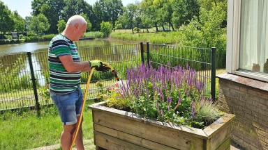 Kleurige planten voor De Vijverhof