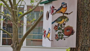 Kleurrijke nestkastjes