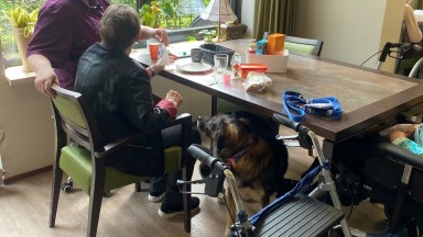 Beleefactiviteit met een hond in Mozaiek