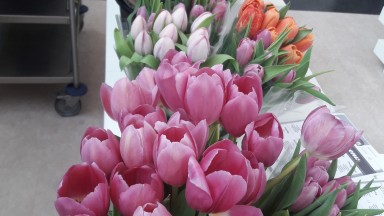 Bloemenzee in Mozaiek!