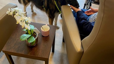 Zorghond Marli brengt een bezoek aan Mozaiek