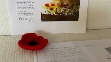 Poppies project in Mozaiek