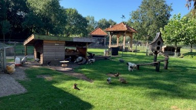 Wandelclub van Spectrum naar de dierenweide