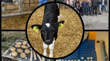 Teamuitje voor team 2 van Spectrum