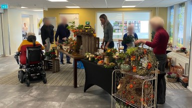 Vrolijke herfstkleuren in Symphonie