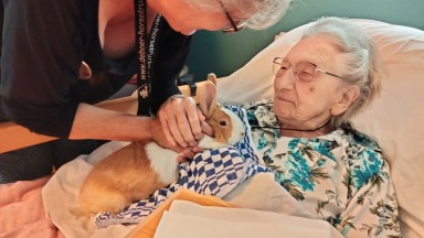 Dierendag bij Zorggroep Drenthe