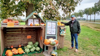 De herfst in huis halen!