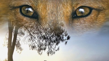 Beleef de wildernis van Drenthe!