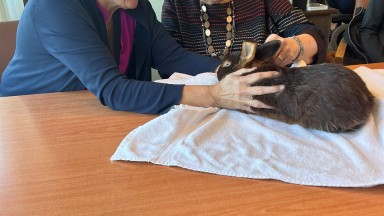 Dierendag in De Vijverhof