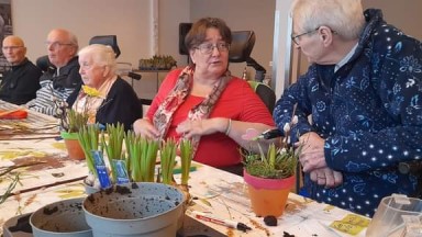 Voorjaars-bloempotjes met blauwe druifjes