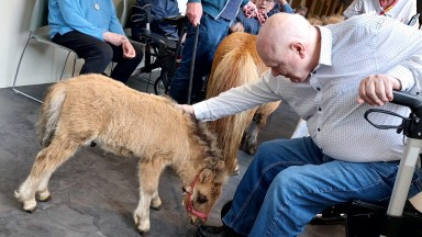 Vrolijke beestenbel in De Vijverhof