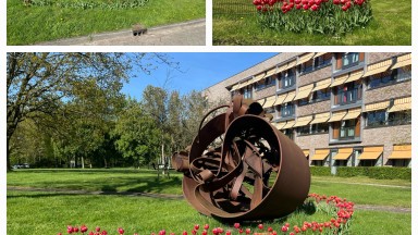 Kleurrijke bloemen rondom Mozaiek