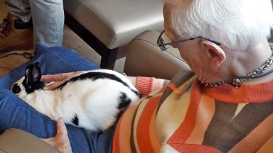 Beestenboel bij Mozaiek