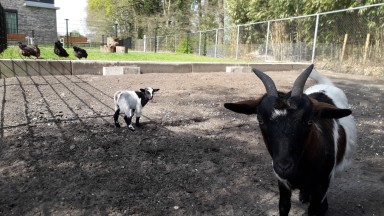 Beschuit met muisjes bij Mozaiek!