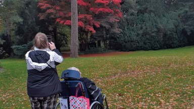 Herfstwandeling in Zuidlaren