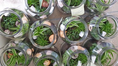 Plantenterrarium maken in De Noorderkroon