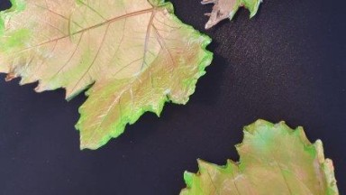 Creatief op dinsdag in De Noorderkroon