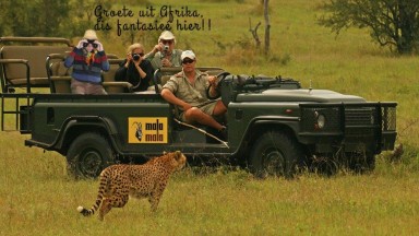 Vakantiekaarten vanuit Afrika