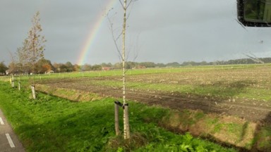 Reisgids: Rondrit door Staatsbos en Drentse Aa gebied