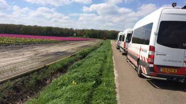 Wenning langs de tulpenvelden