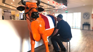 In Spectrum reizen we door Holland