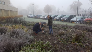 Vrijheidstulpen bij Spectrum