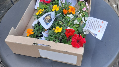 Plantjes van Marijn!