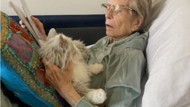 Op pad met de robotkat