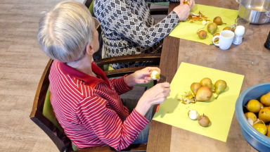 Verse stoofpeertjes in Mozaiek