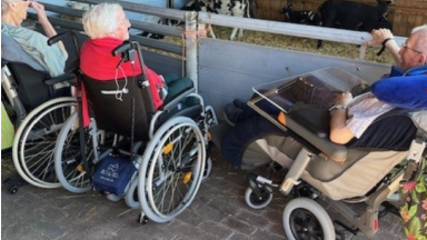 Lammetjesdag op de Hanse Hof!