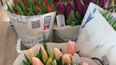 Tulpen voor De Vijverhof