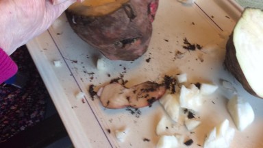 Lampions van voederbieten