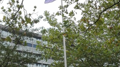 Regenboogweek in Drenthe