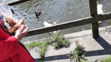 Wandelen en eendjes voeren