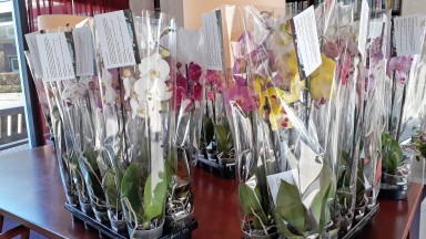 Blijk van waardering voor De Wenning