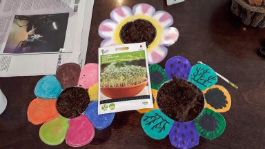 De Wenning in de ban van Wereld Plantendag