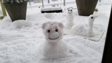 Zorggroep Drenthe bedekt onder sneeuwlaag