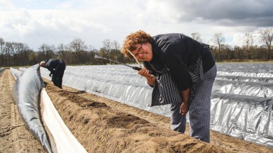 Het aspergeseizoen is gestart bij Zorggroep Drenthe