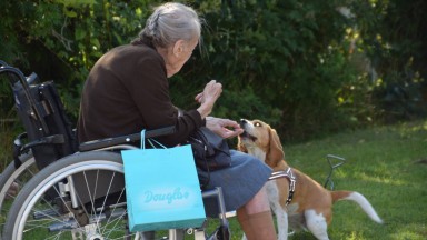 Beagle club te gast bij de Noorderkroon