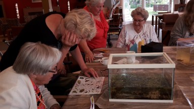 Slootjesproject bij Symphonie